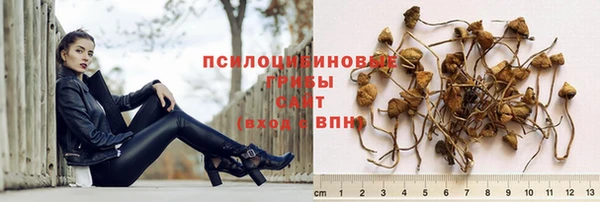 прущий лед Алзамай