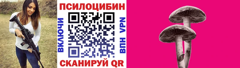 Галлюциногенные грибы Psilocybine cubensis сайты даркнета наркотические препараты Петропавловск-Камчатский