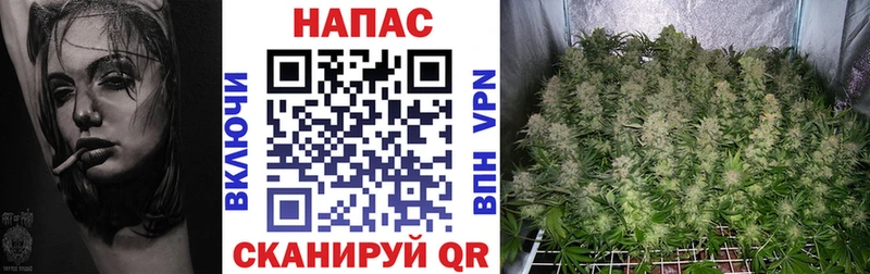 Марихуана White Widow  Петропавловск-Камчатский 